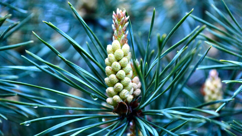 Achtsamkeitsmeditation 1