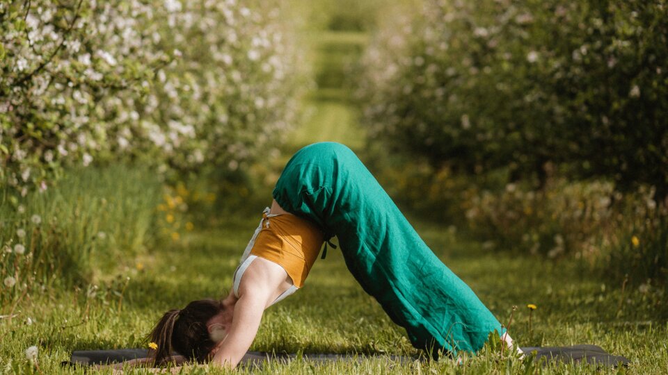 Naturyoga3